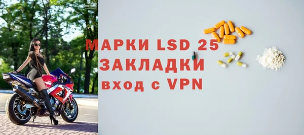 ПСИЛОЦИБИНОВЫЕ ГРИБЫ Тавда