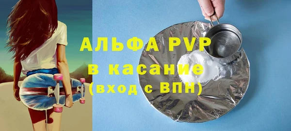 шишки Сясьстрой