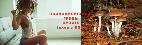 ALPHA-PVP Верея