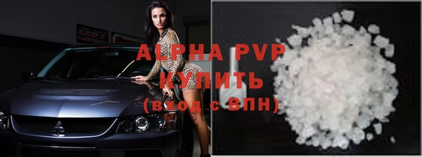 ПСИЛОЦИБИНОВЫЕ ГРИБЫ Тавда