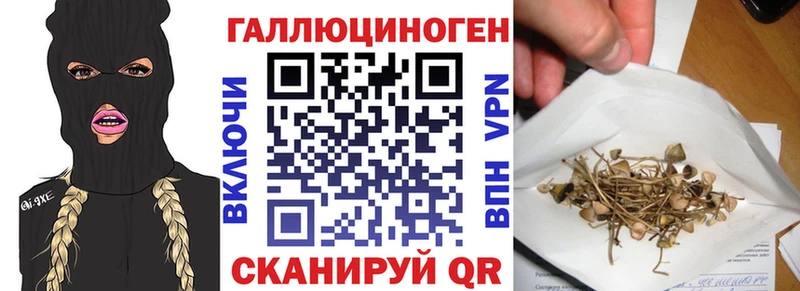 купить наркоту Мончегорск Псилоцибиновые грибы Psilocybine cubensis